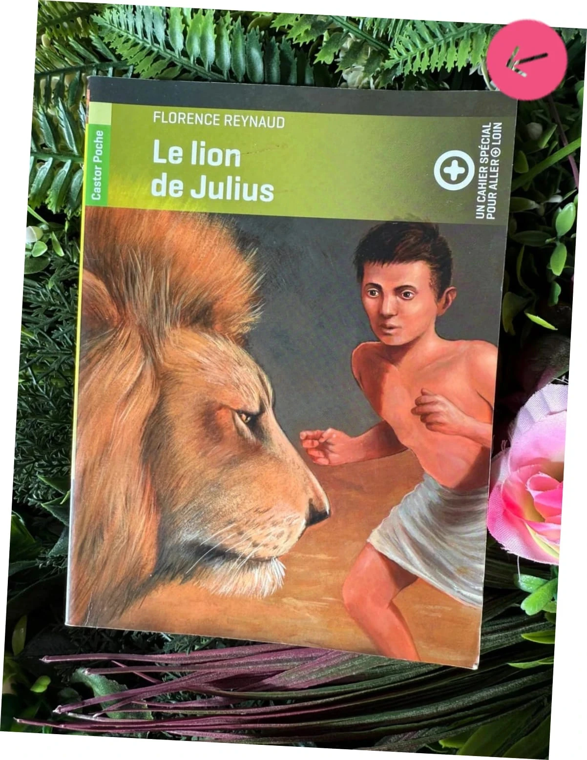 Livre pour le collège, le Lion de Julius – photo 2